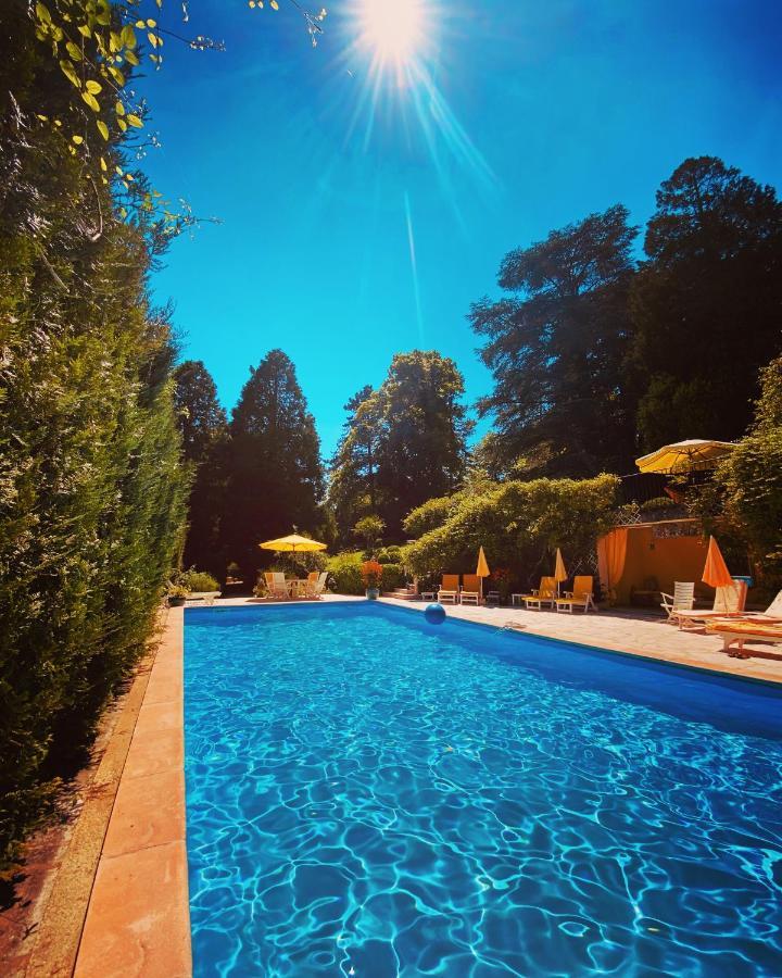Manoir Des Cavaliers - Bnb Chantilly Esterno foto
