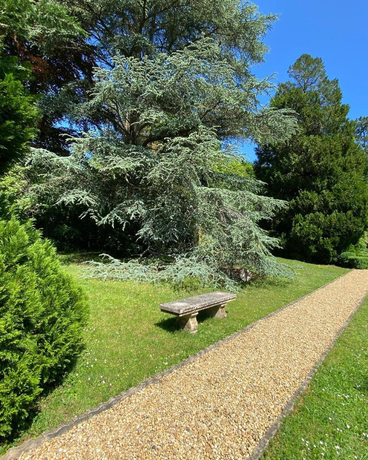 Manoir Des Cavaliers - Bnb Chantilly Esterno foto